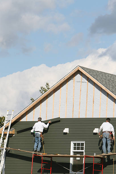 Best Storm Damage Siding Repair  in Carrizo Springs, TX