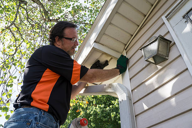  Carrizo Springs, TX Siding Installation & Repair Pros